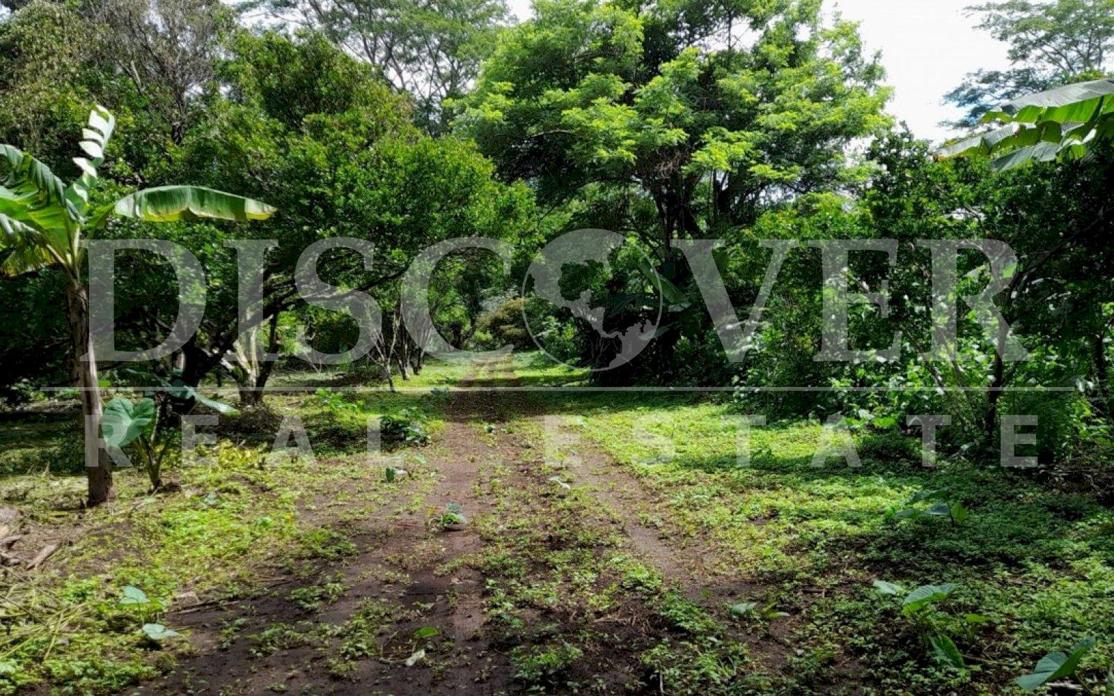https://images.discovernica.com/propiedad/1600/gw3edgegerh.jpg