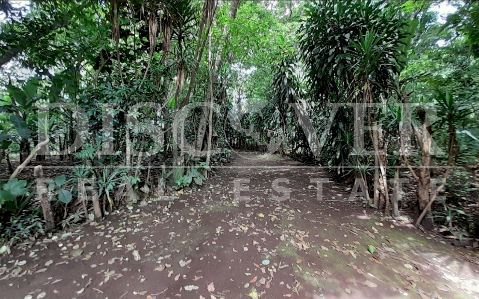 https://images.discovernica.com/propiedad/1600/gwegerhfqefwegerg.jpg
