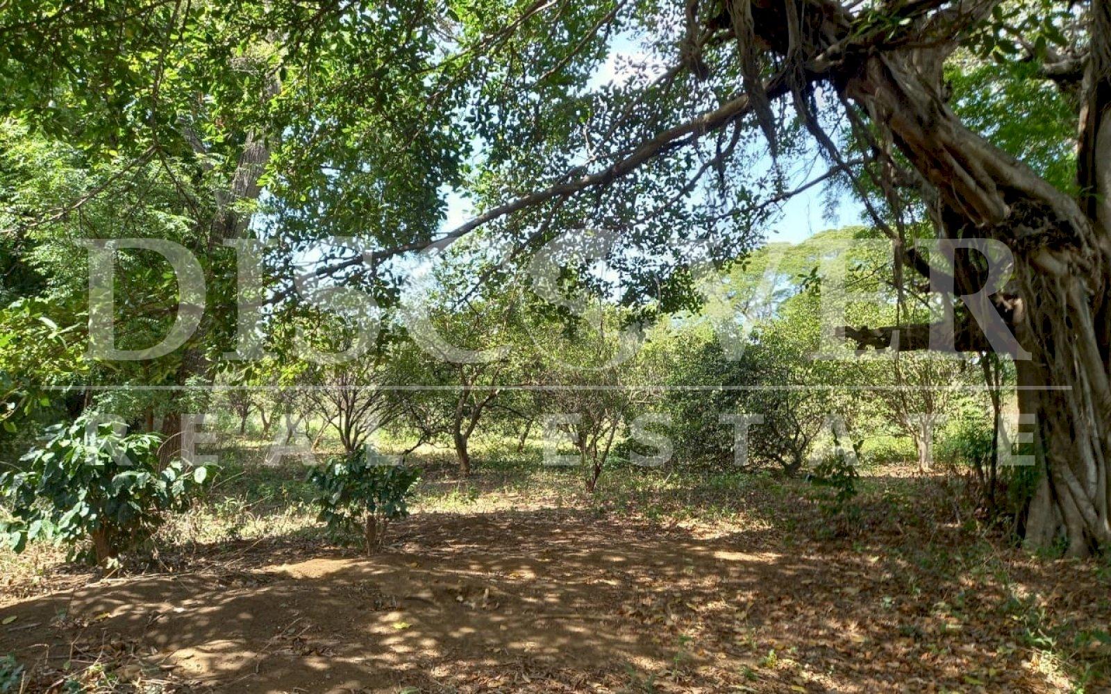 Imagen 5 de la galería