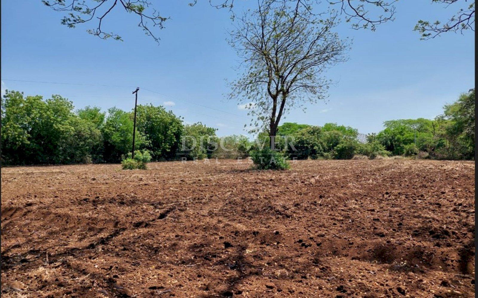 Imagen 3 de la galería