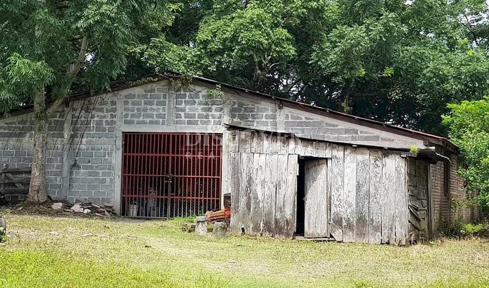  800 Mz Farm for Sale in Muy Muy