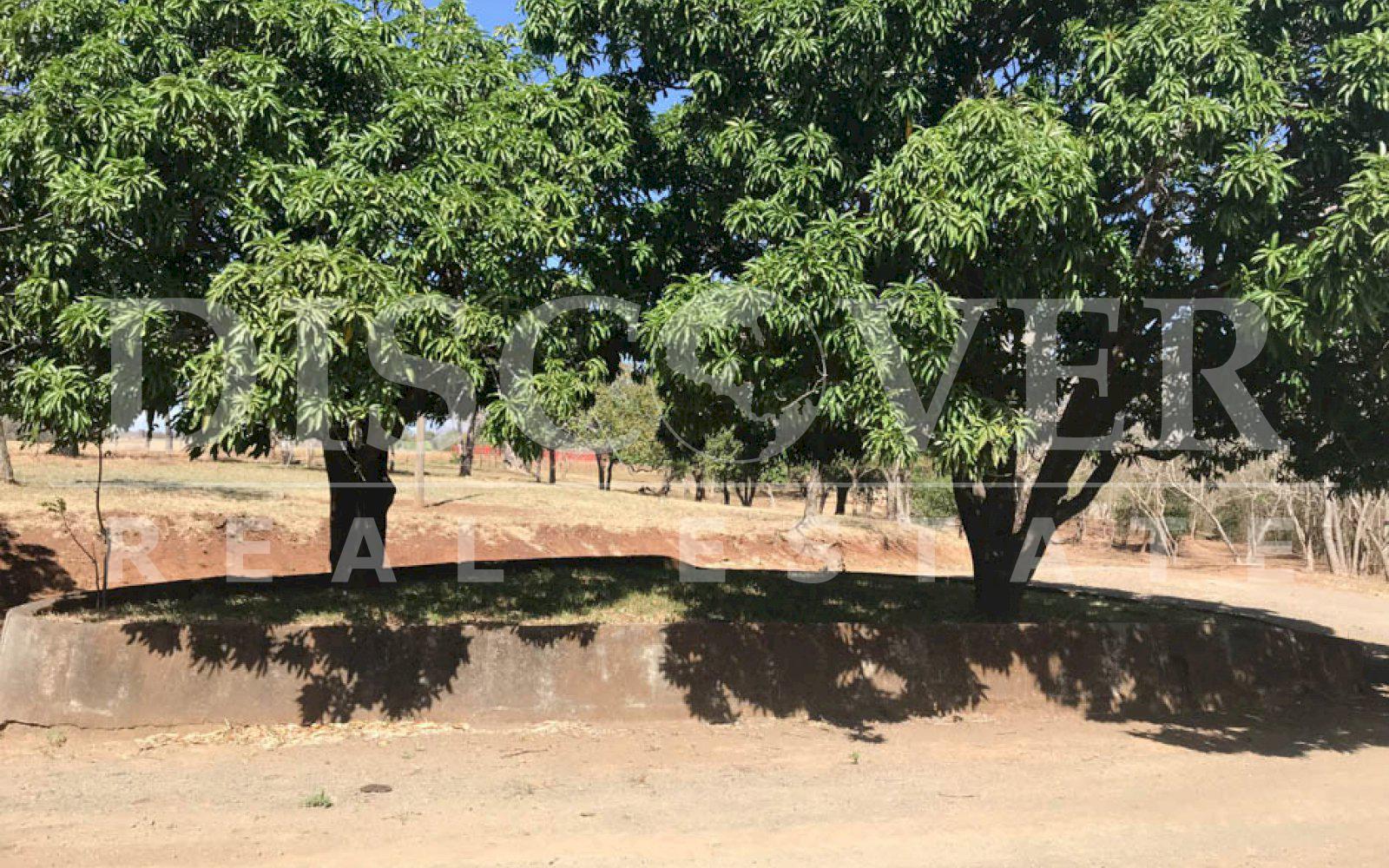 https://images.discovernica.com/propiedad/1600/hermosa_finca_en_venta_diriamba_la_boquita_142_manzanas_ID_11484_4.jpg
