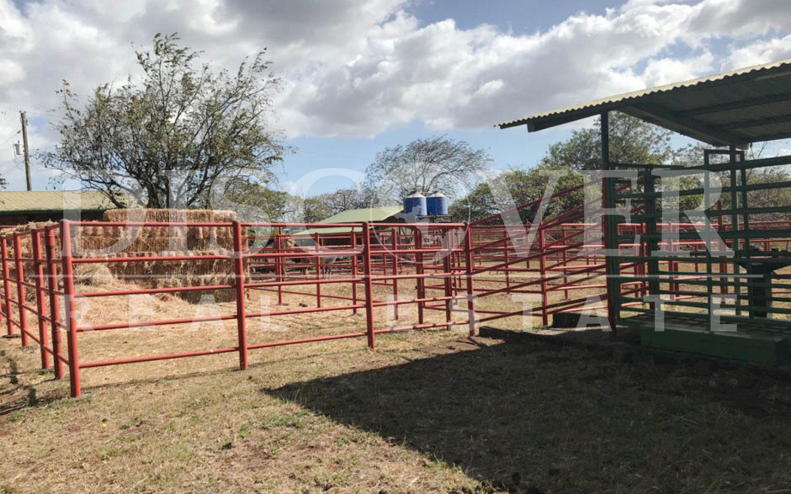 https://images.discovernica.com/propiedad/1600/hermosa_finca_en_venta_diriamba_la_boquita_142_manzanas_ID_11484_5.jpg