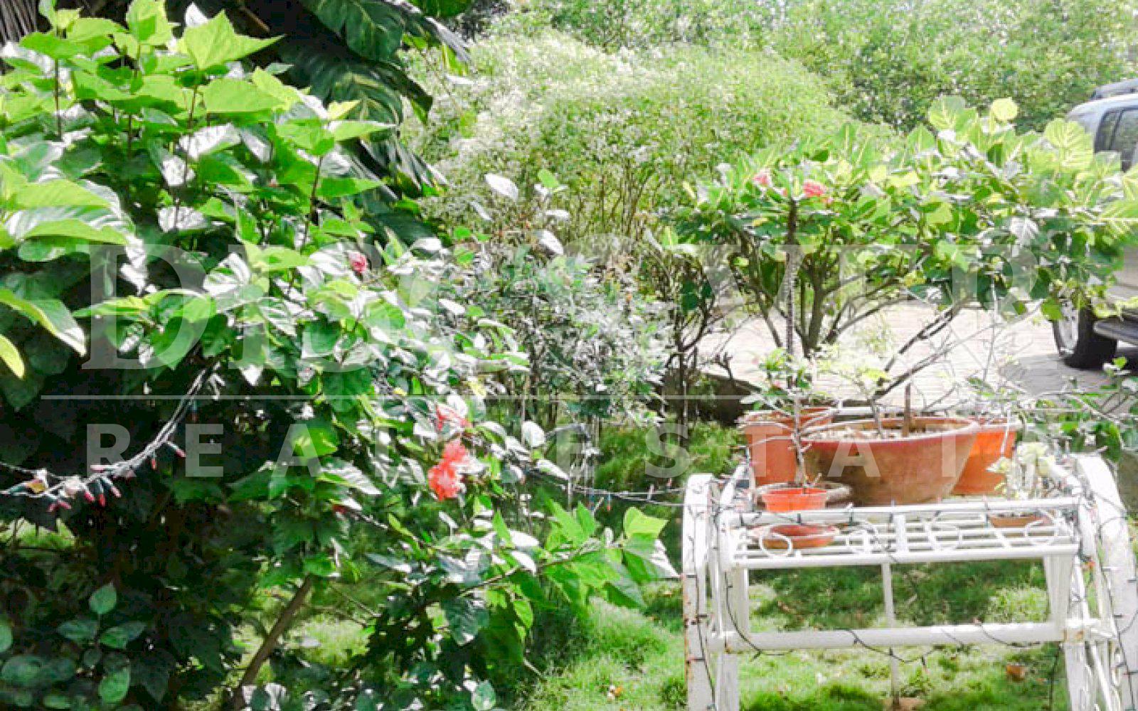 Imagen 2 de la galería