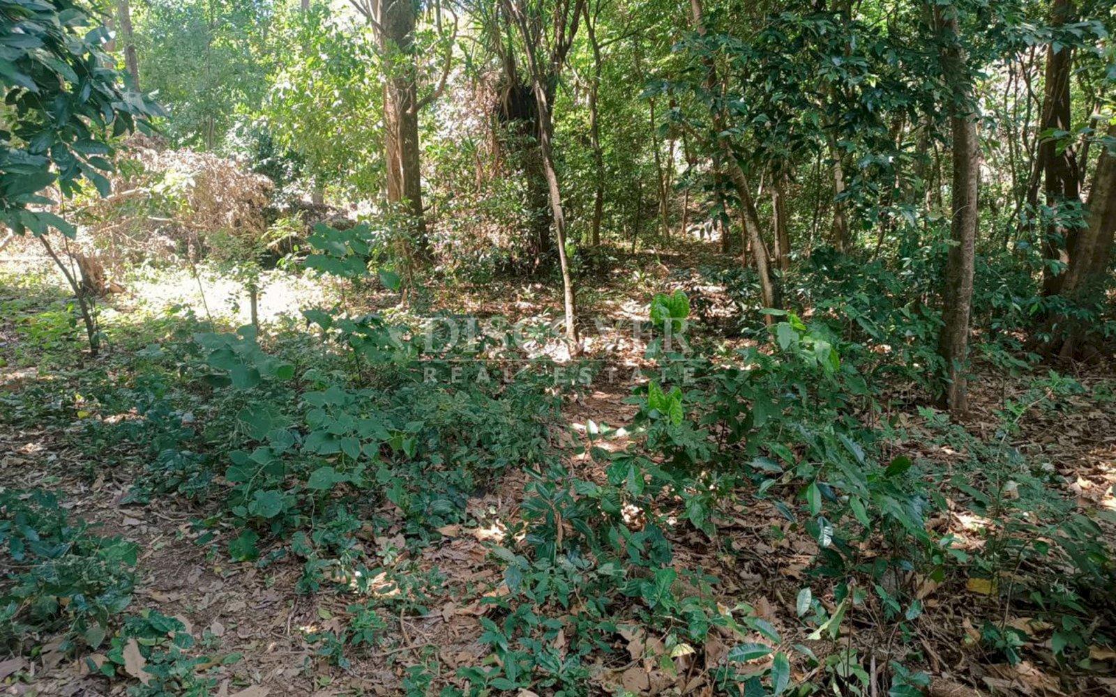 Imagen 4 de la galería