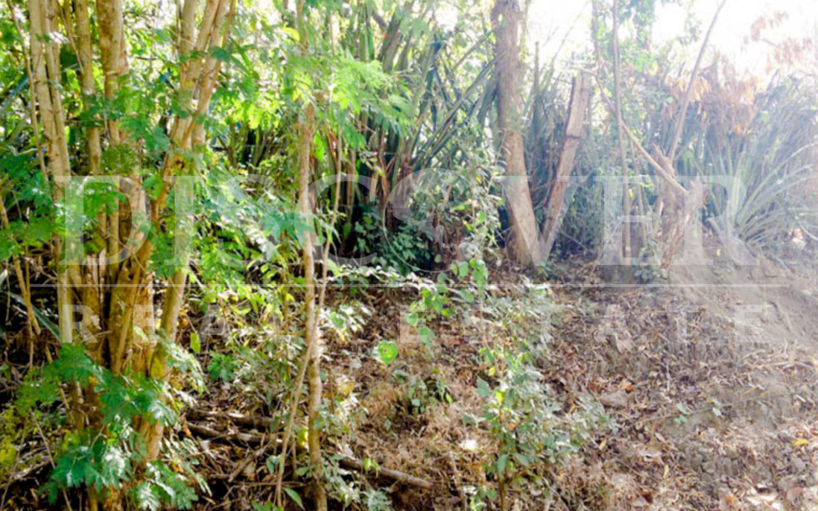  Farm for sale in Jinotepe