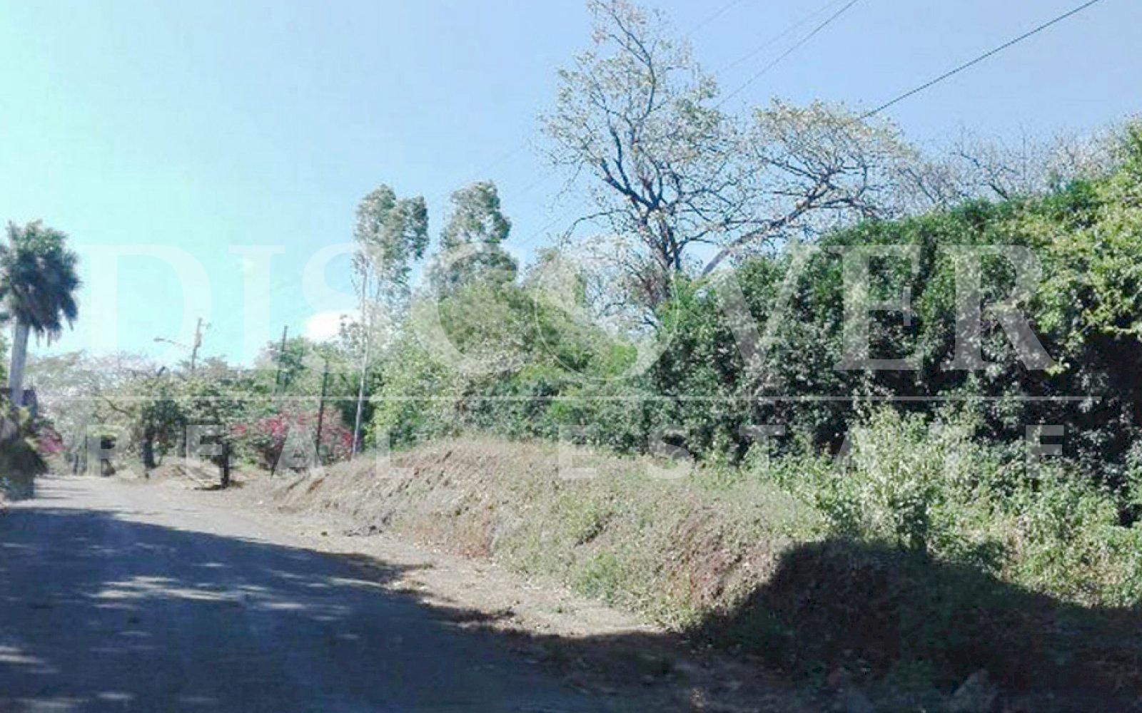 Imagen 4 de la galería