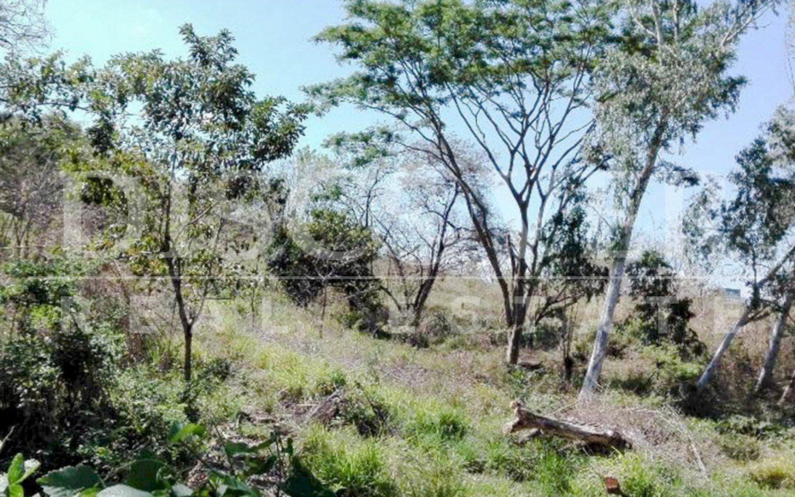 Imagen 8 de la galería