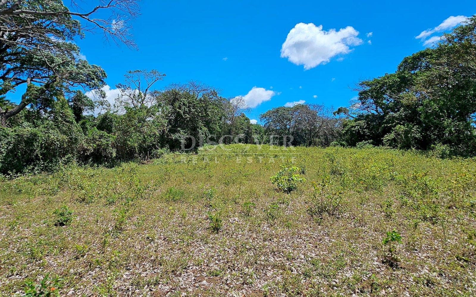 10,000 meters of land available for dismemberment for sale in Jocote Dulce 
