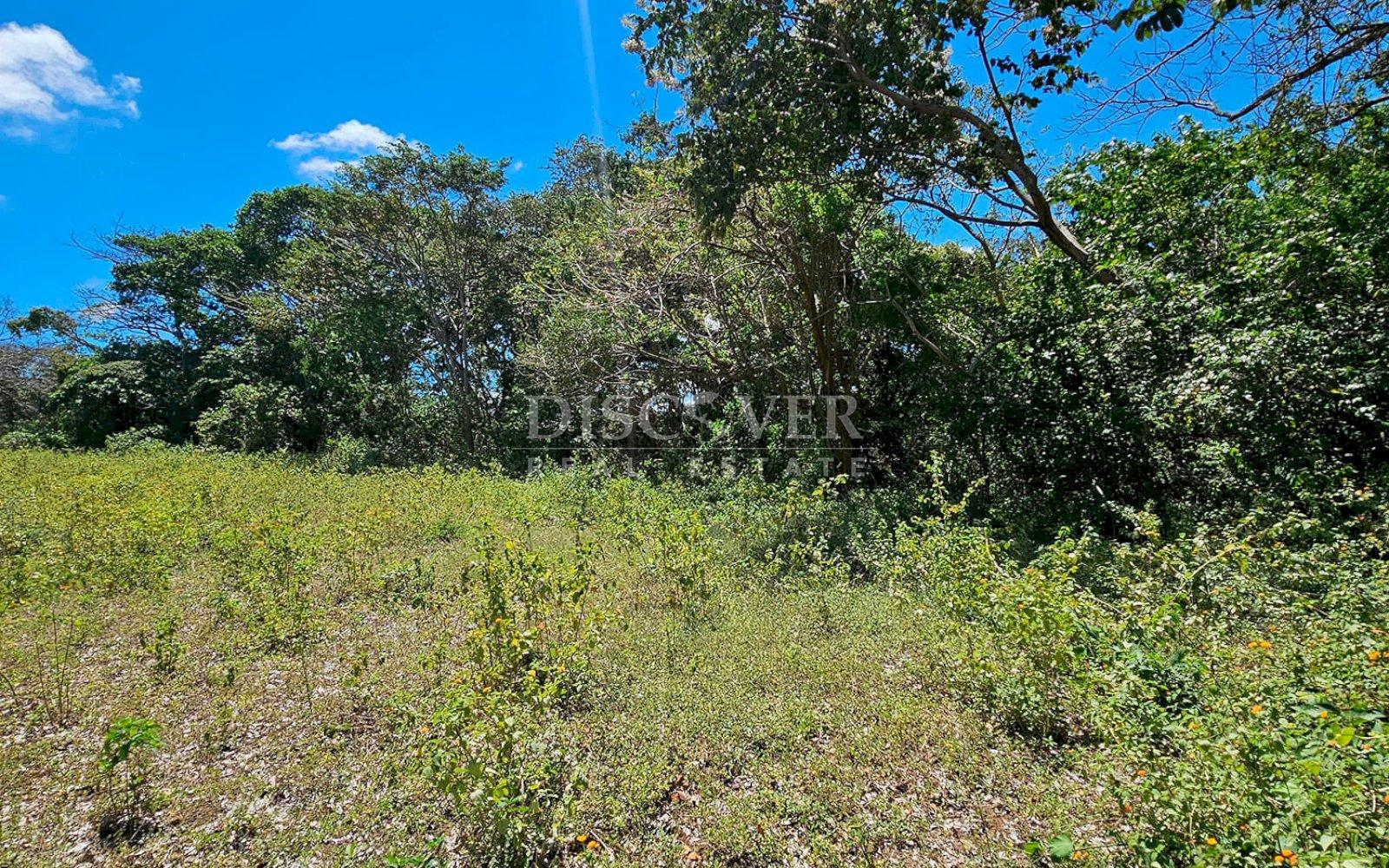10,000 meters of land available for dismemberment for sale in Jocote Dulce 