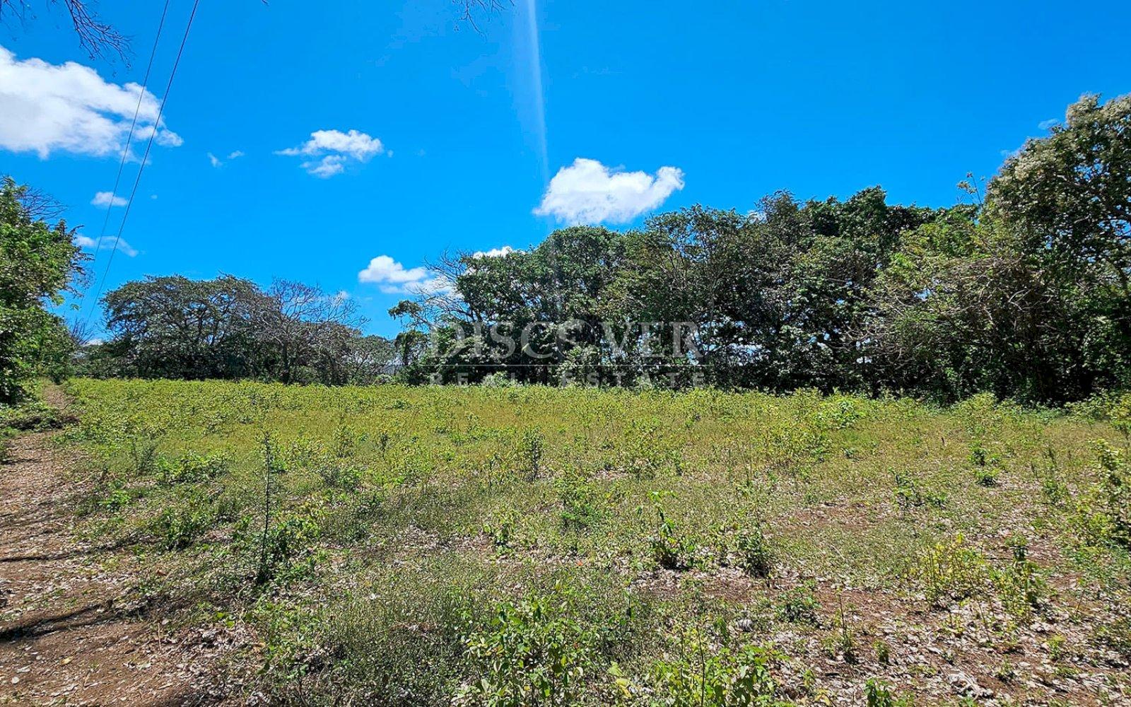 10,000 meters of land available for dismemberment for sale in Jocote Dulce 