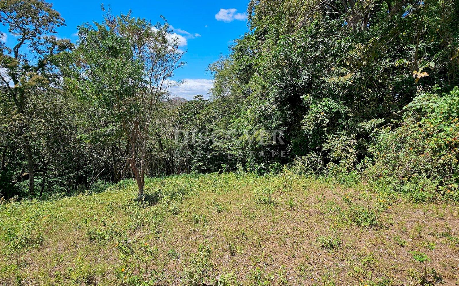 10,000 meters of land available for dismemberment for sale in Jocote Dulce 