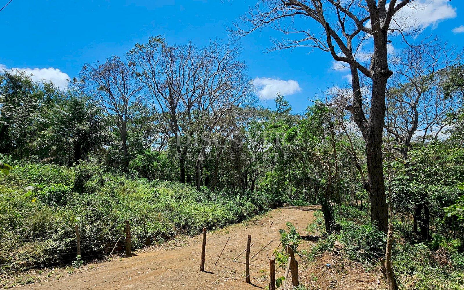 10,000 meters of land available for dismemberment for sale in Jocote Dulce 