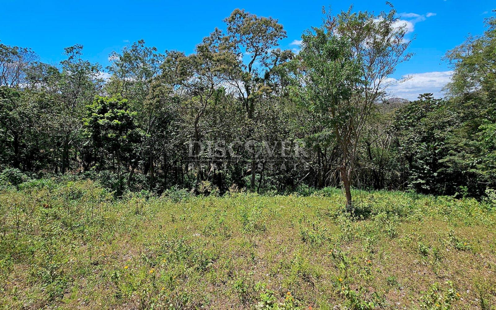 10,000 meters of land available for dismemberment for sale in Jocote Dulce 