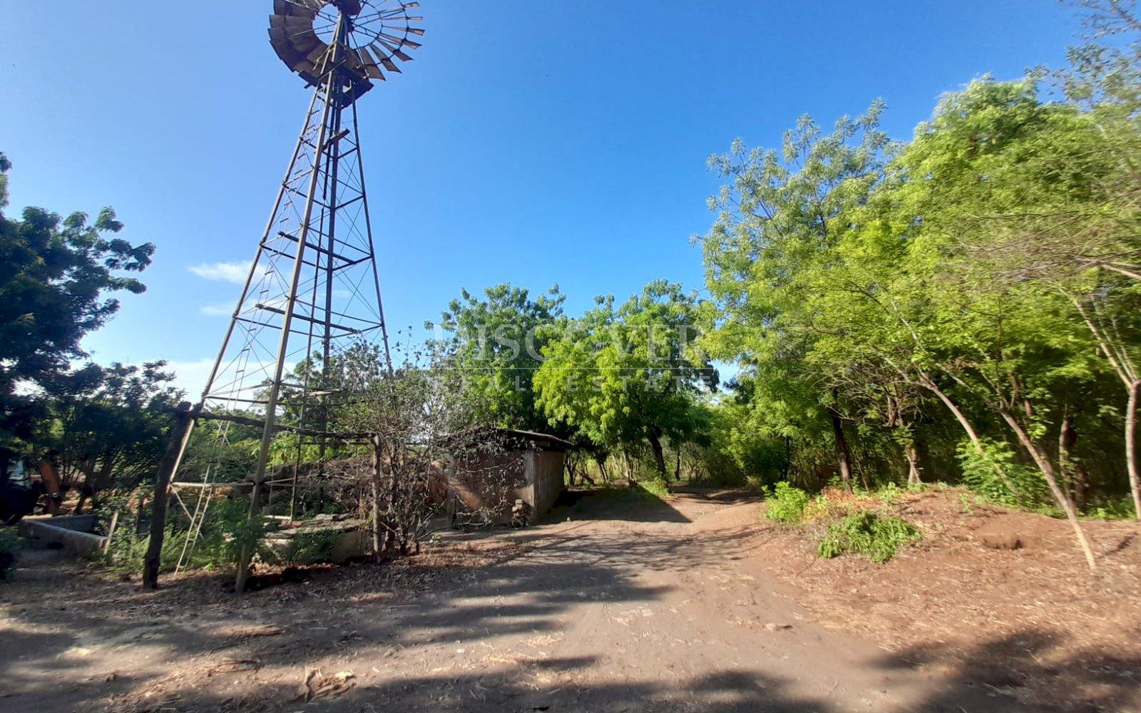Imagen 5 de la galería