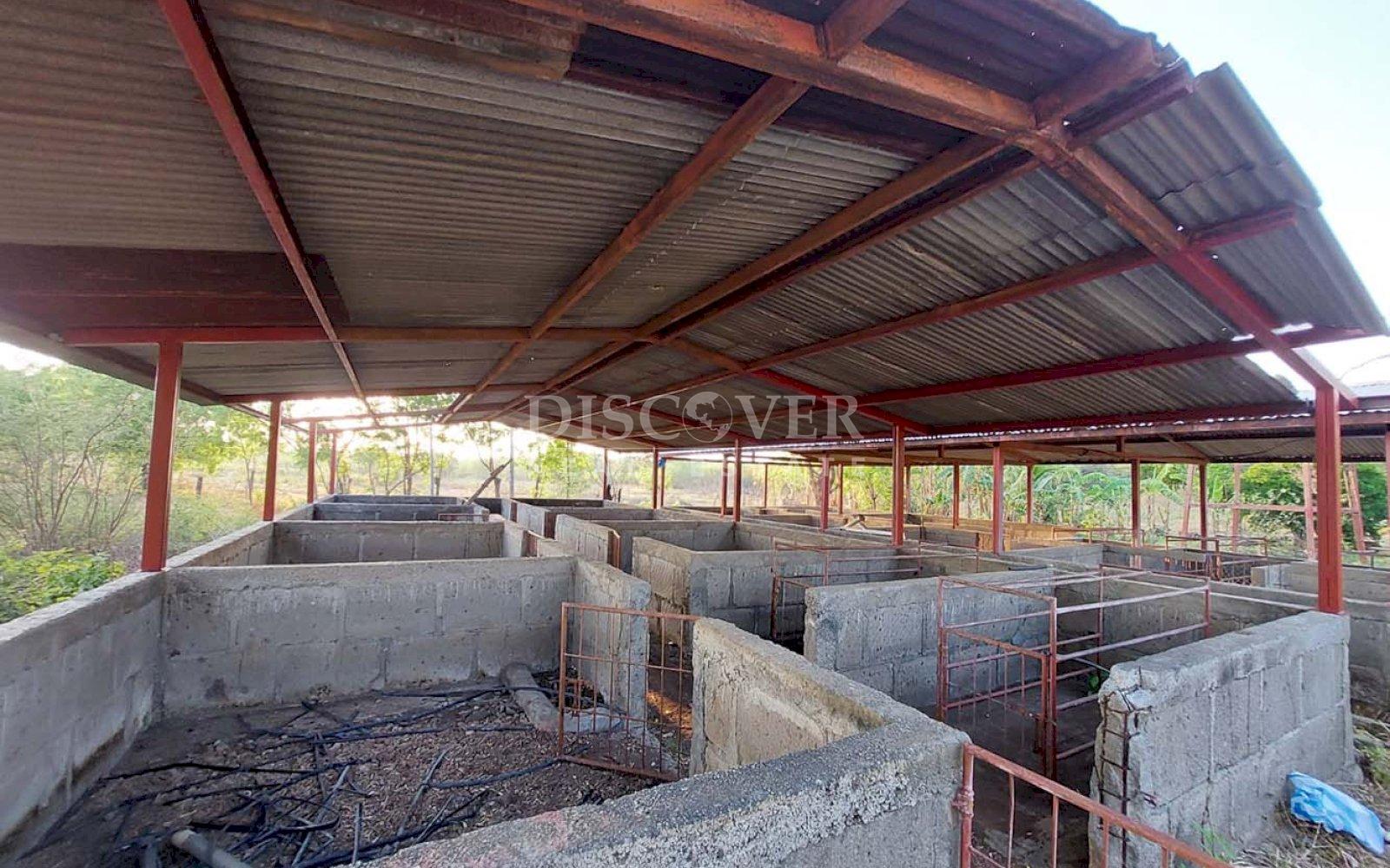  Property for sale located between Nagarote highway and La Paz Centro.