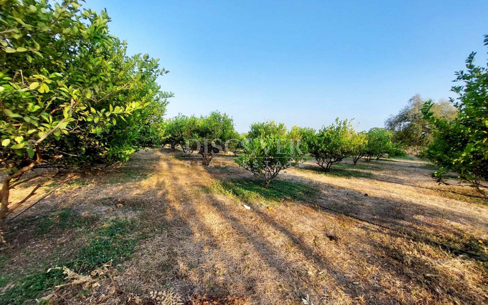  Property for sale located between Nagarote highway and La Paz Centro.