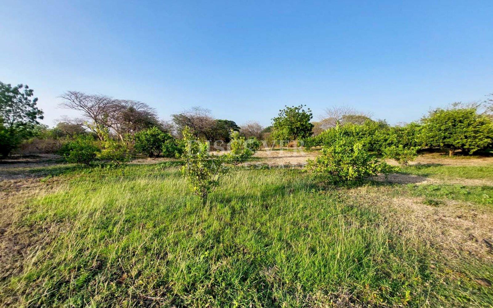  Property for sale located between Nagarote highway and La Paz Centro.