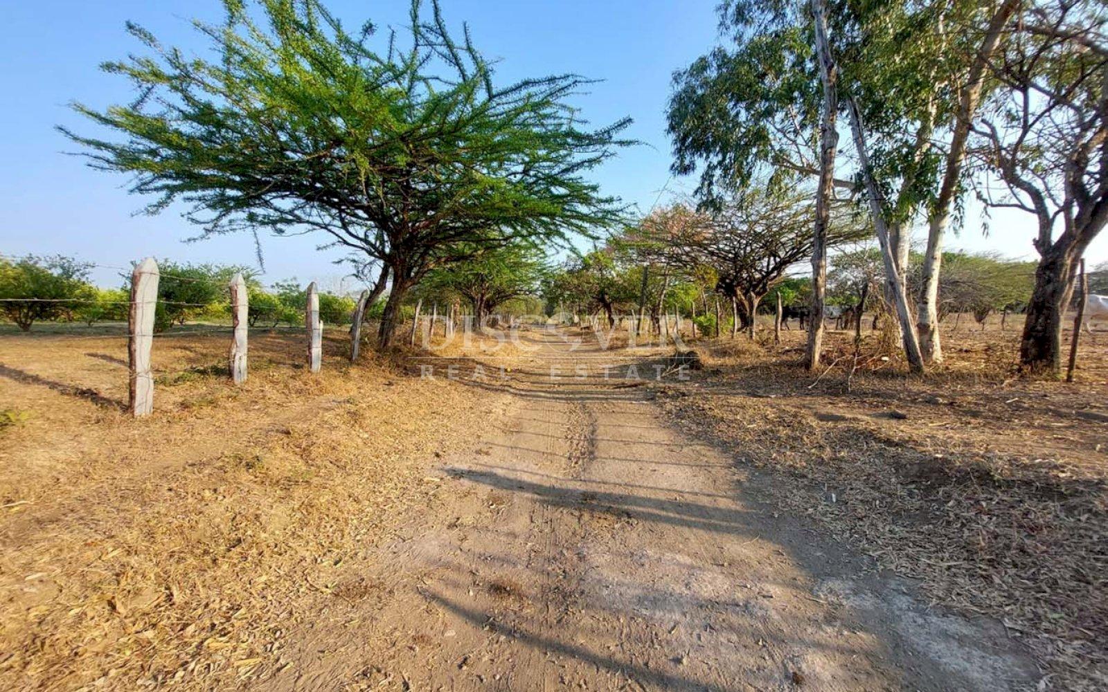  Property for sale located between Nagarote highway and La Paz Centro.