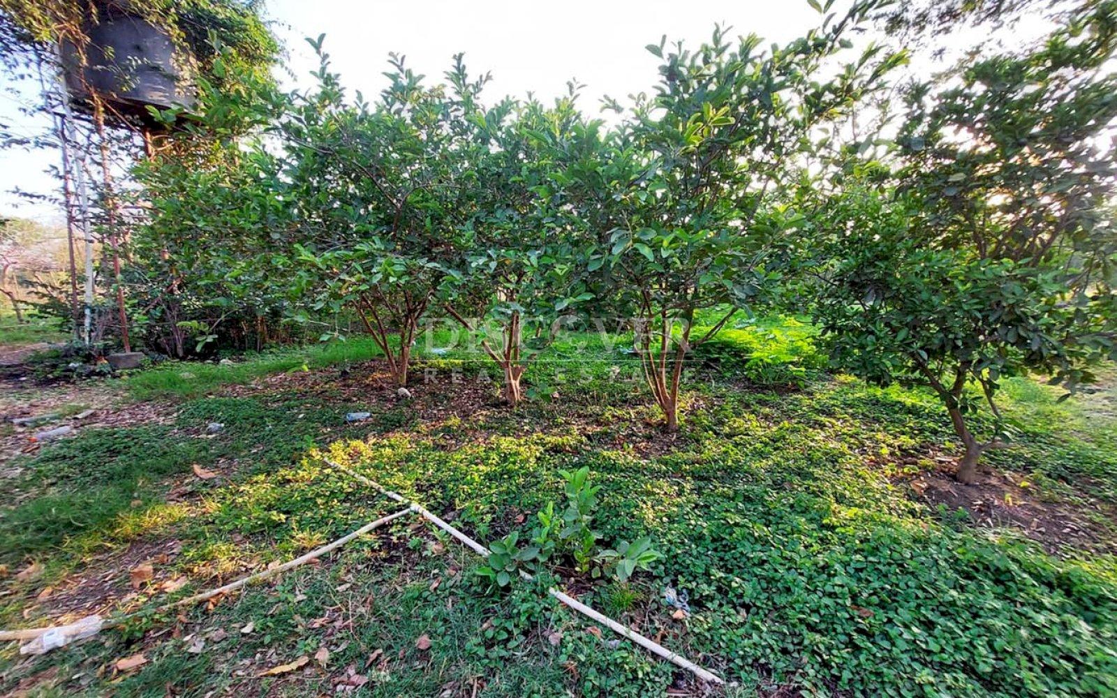  Property for sale located between Nagarote highway and La Paz Centro.