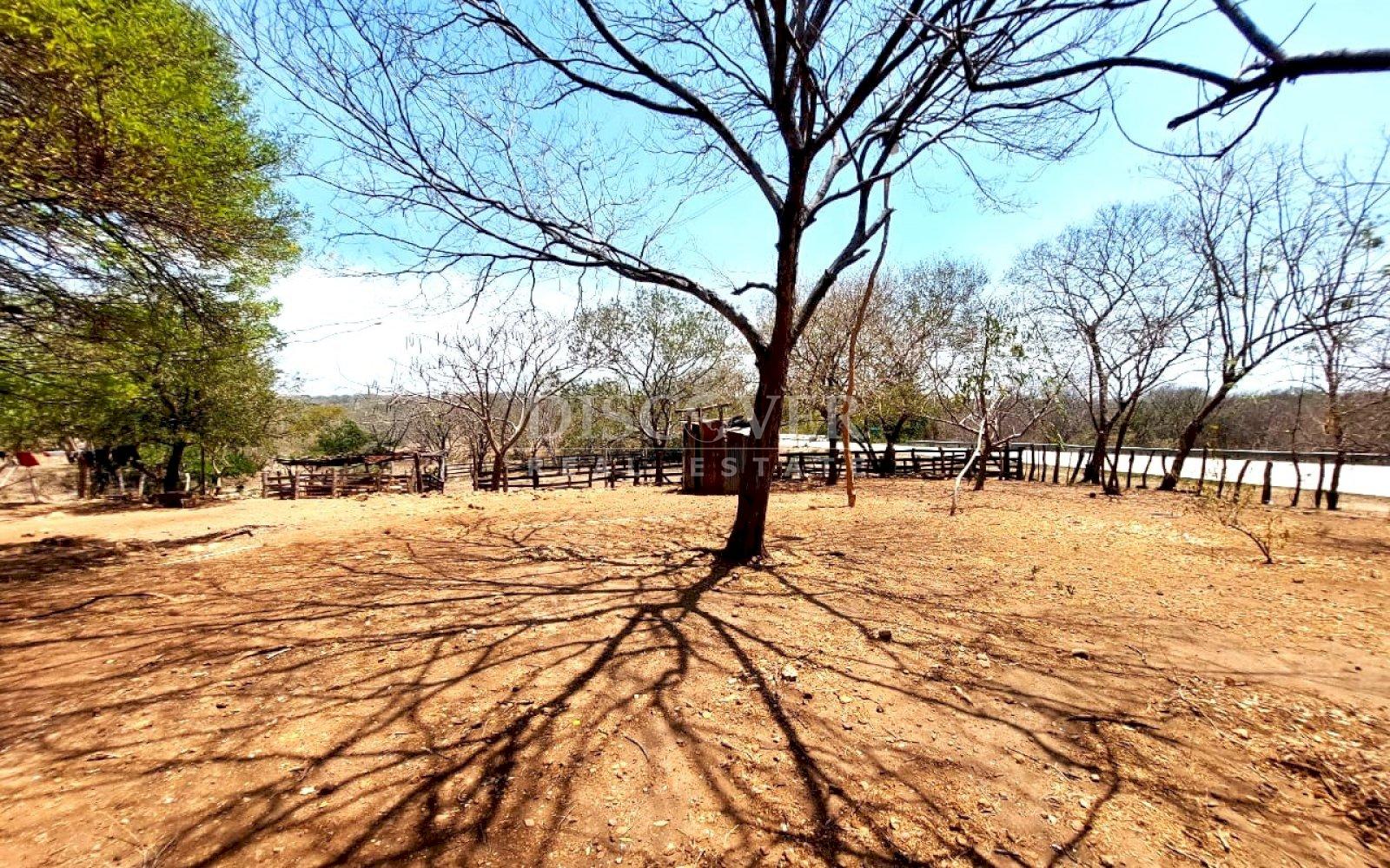 Imagen 1 de la galería