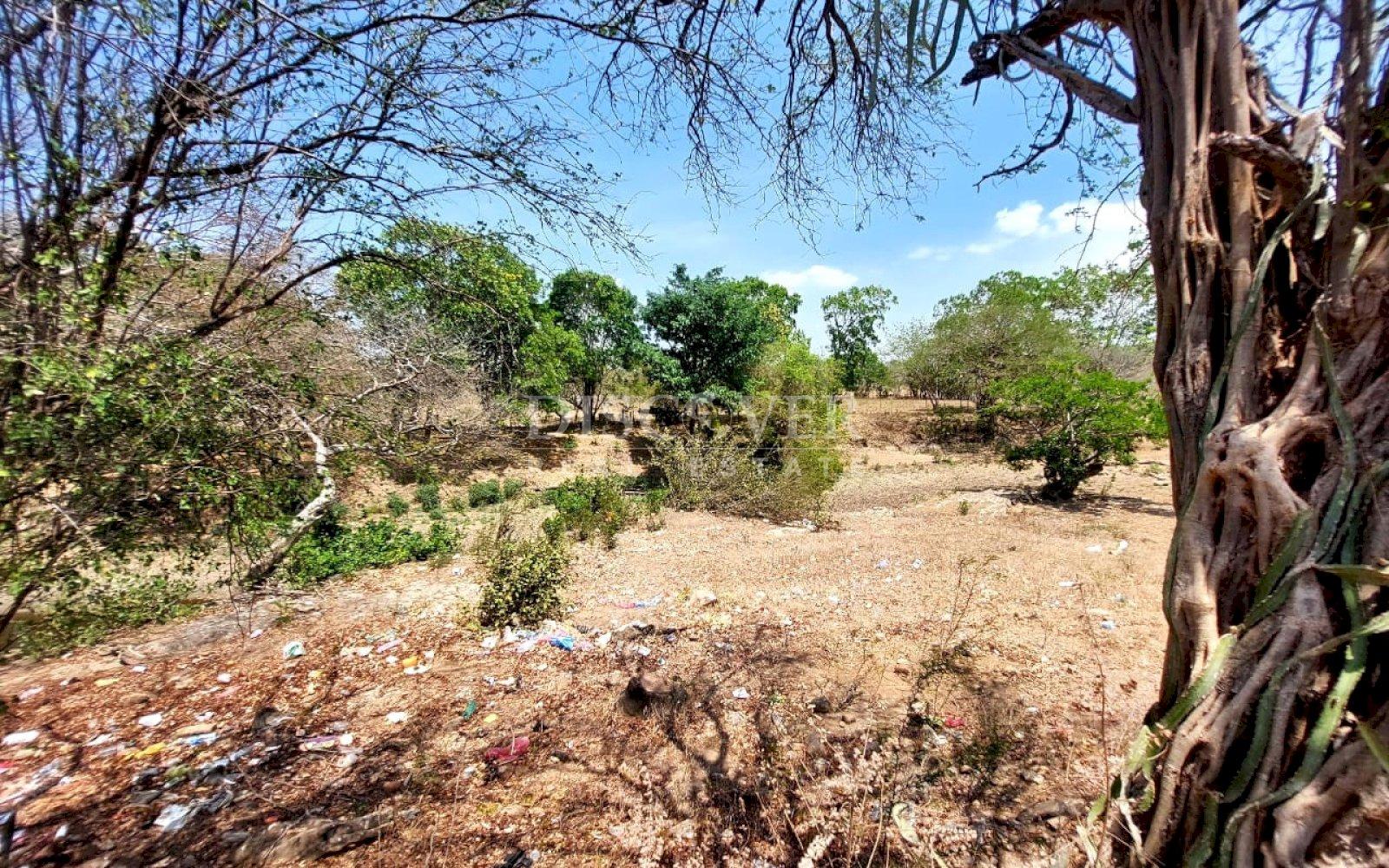 Imagen 2 de la galería