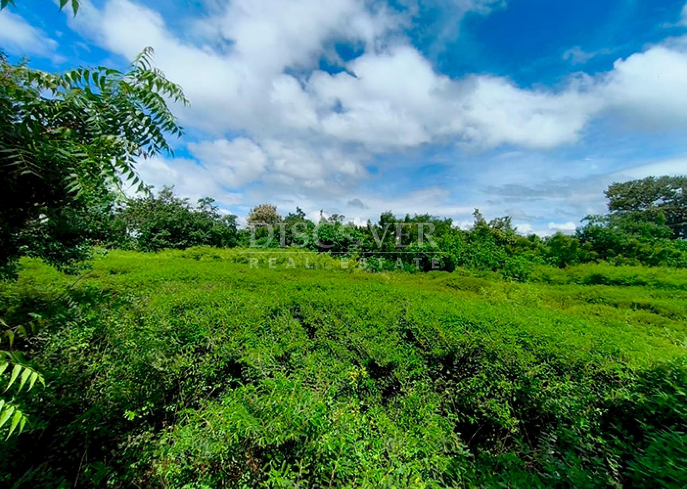 Lots for sale located near the city of Granada 