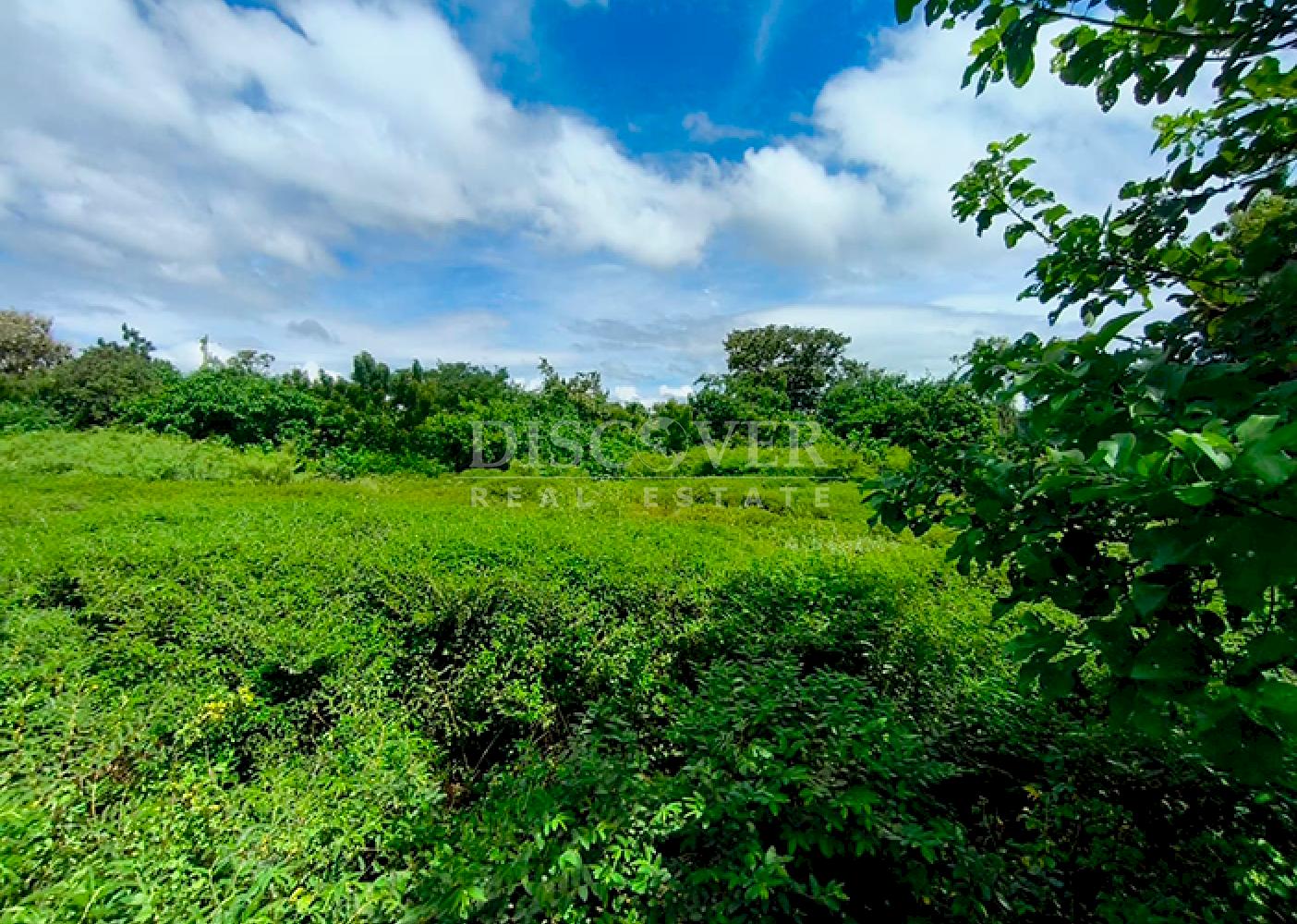 Lots for sale located near the city of Granada 