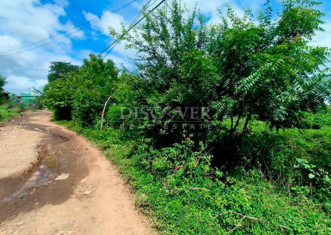 Lots for sale located near the city of Granada 