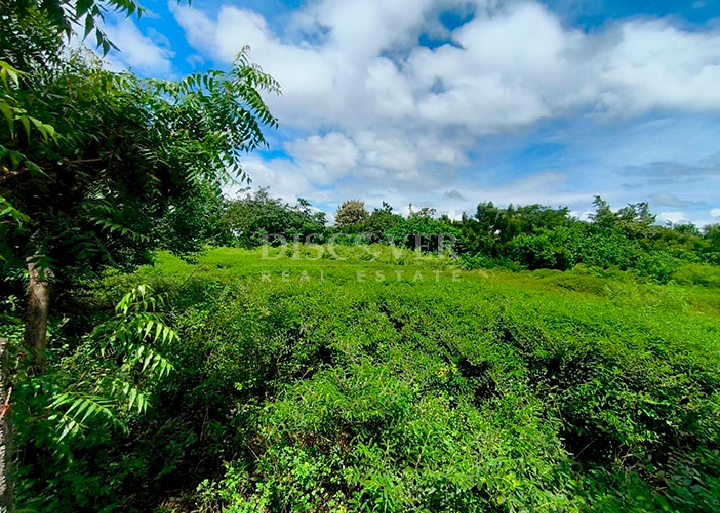 Lots for sale located near the city of Granada 