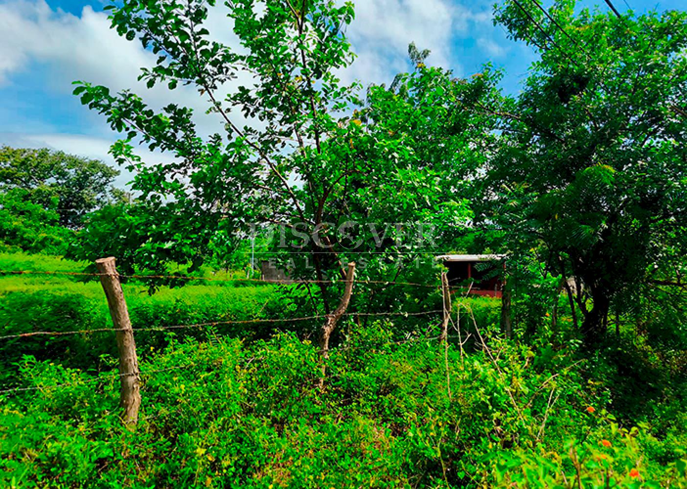 Lots for sale located near the city of Granada 