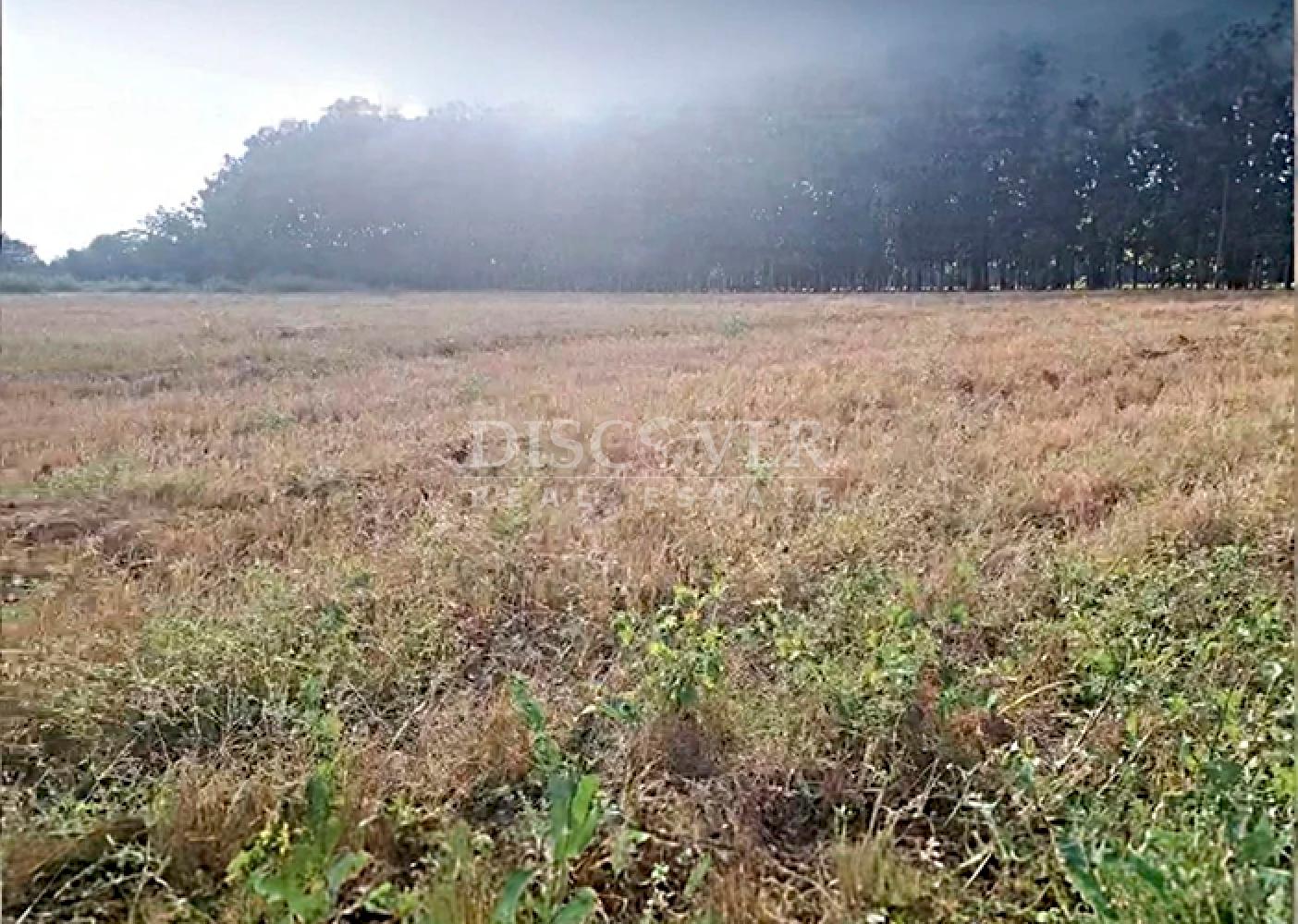  Land for Sale Carretera a Chinandega