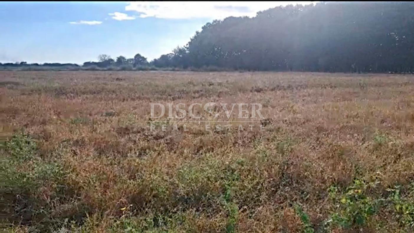  Land for Sale Carretera a Chinandega