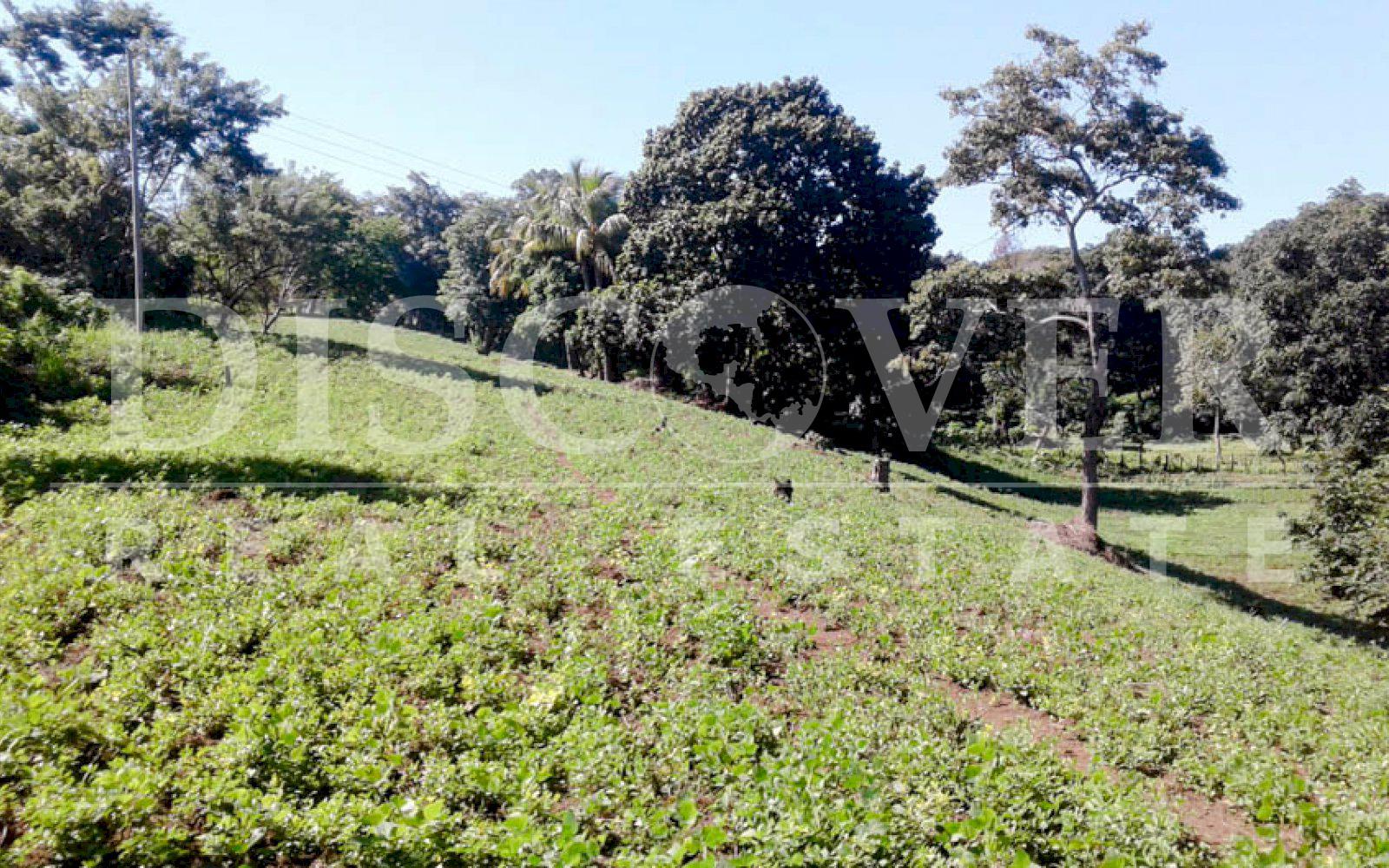 https://images.discovernica.com/propiedad/1600/land_sale_altos_villa_fontana_6_988.00_ID11328.jpg