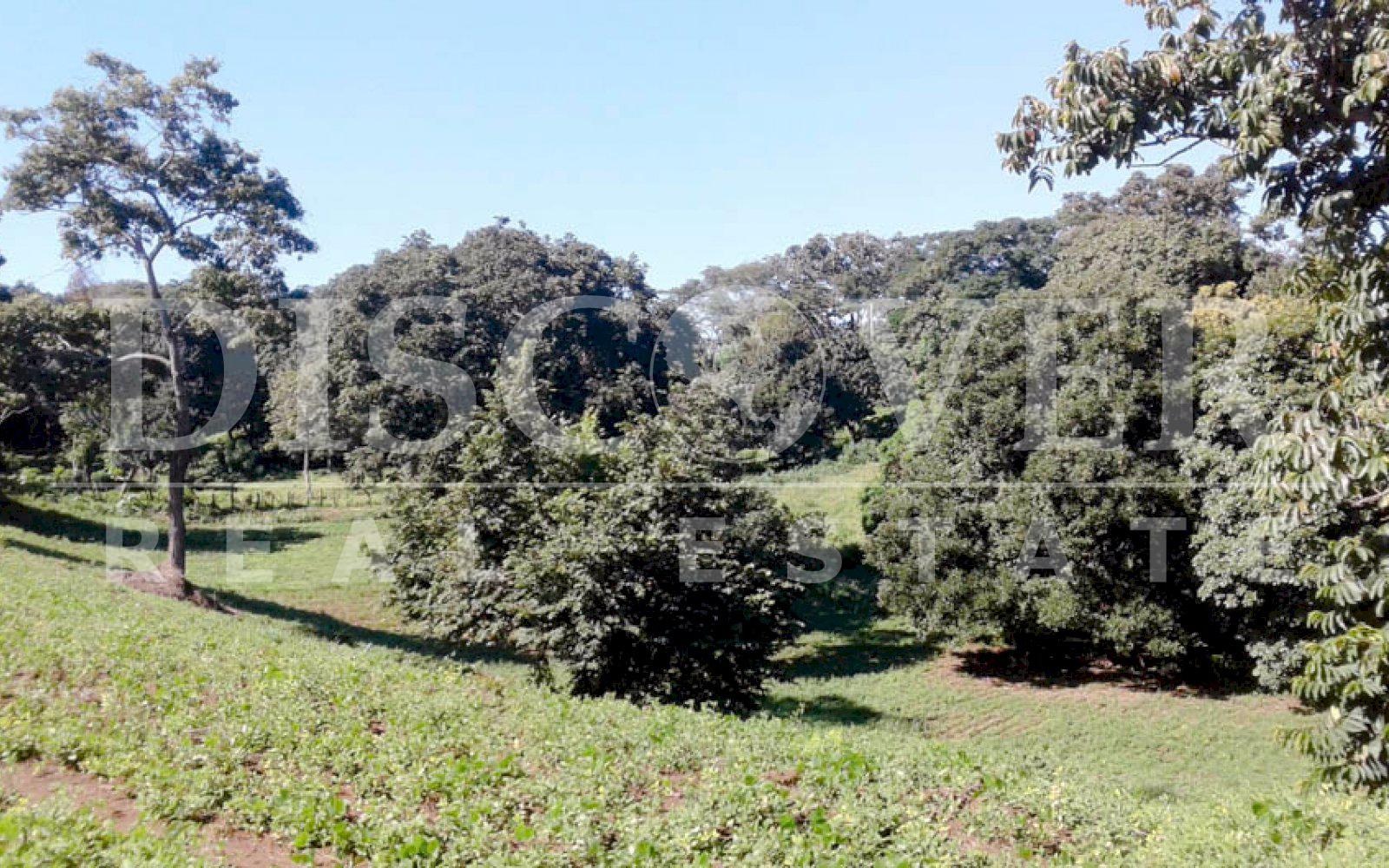 https://images.discovernica.com/propiedad/1600/land_sale_altos_villa_fontana_6_988.00_ID11328_2.jpg