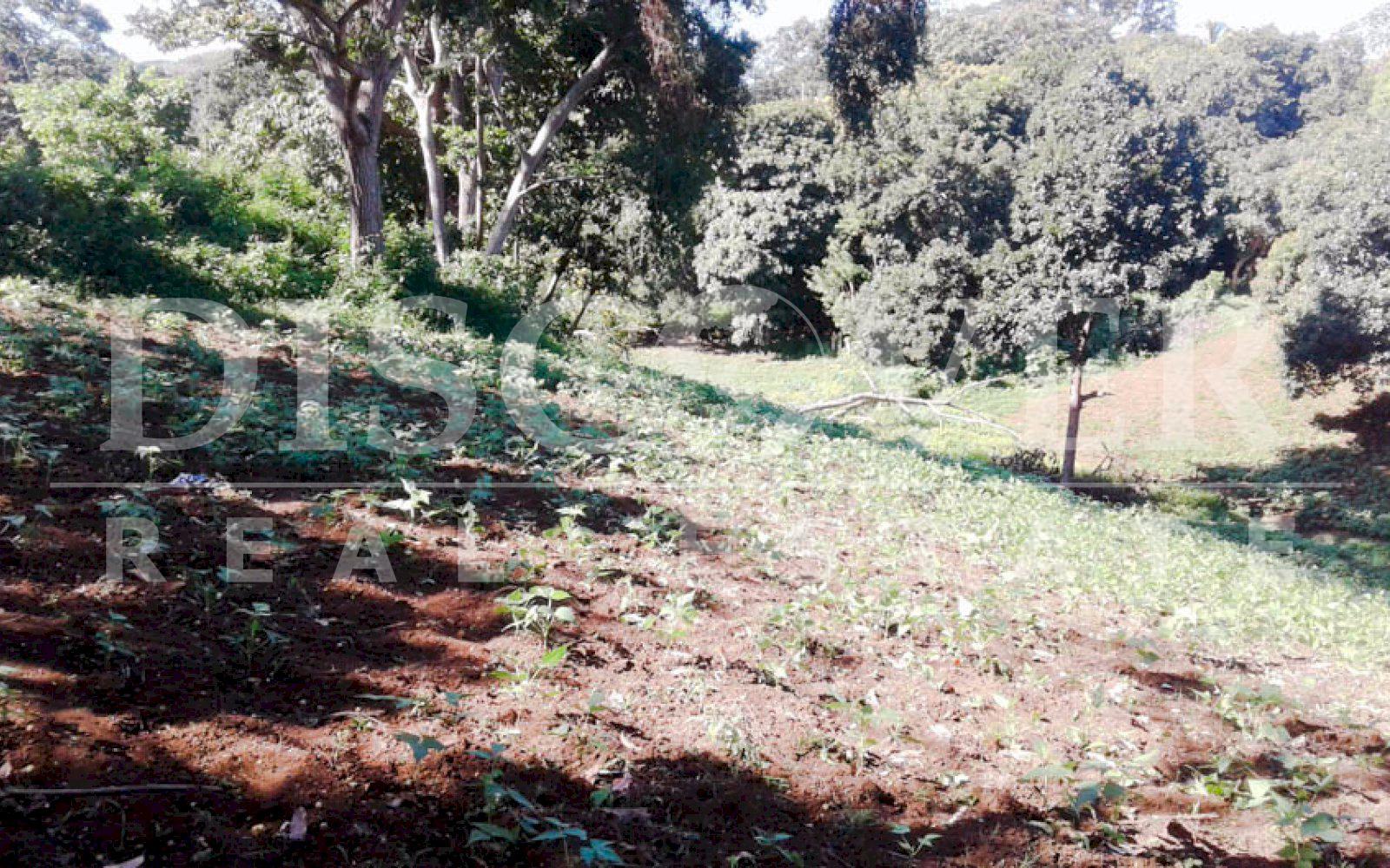 https://images.discovernica.com/propiedad/1600/land_sale_altos_villa_fontana_6_988.00_ID11328_4.jpg