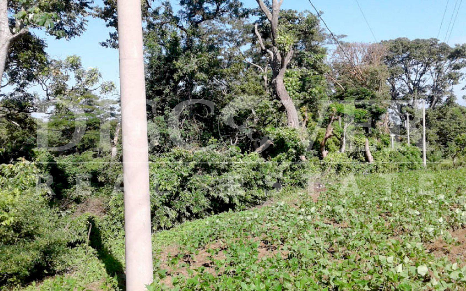 https://images.discovernica.com/propiedad/1600/land_sale_altos_villa_fontana_6_988.00_ID11328_7.jpg