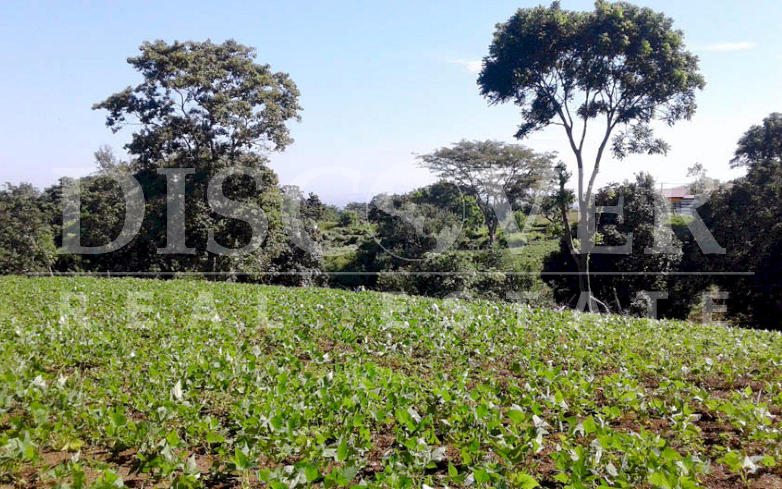 https://images.discovernica.com/propiedad/1600/land_sale_altos_villa_fontana_6_988.00_ID11328_8.jpg