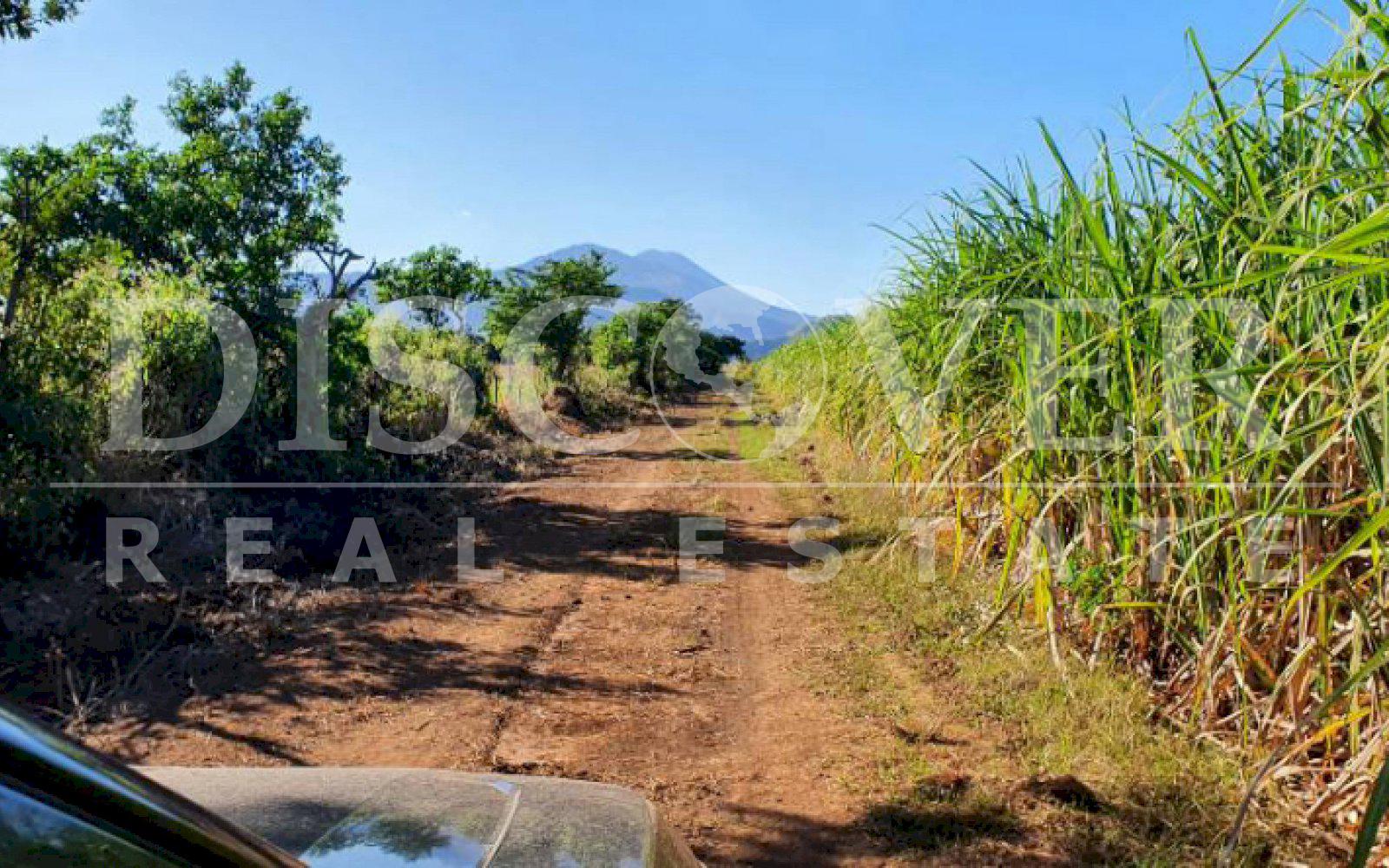 Imagen 3 de la galería