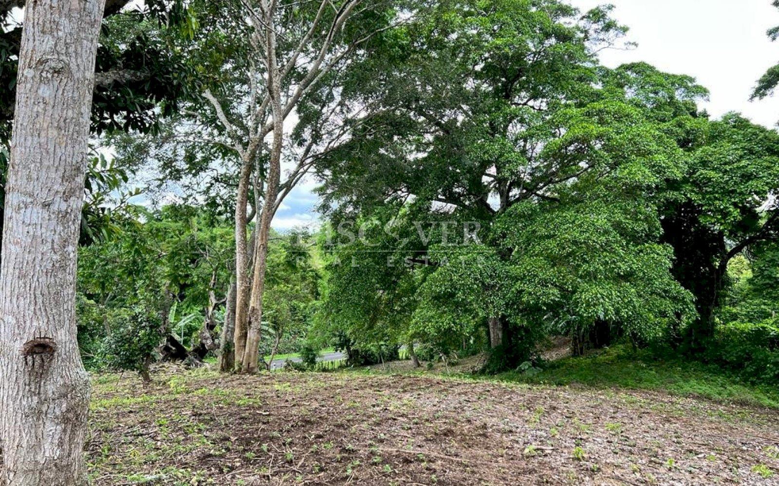 Imagen 3 de la galería