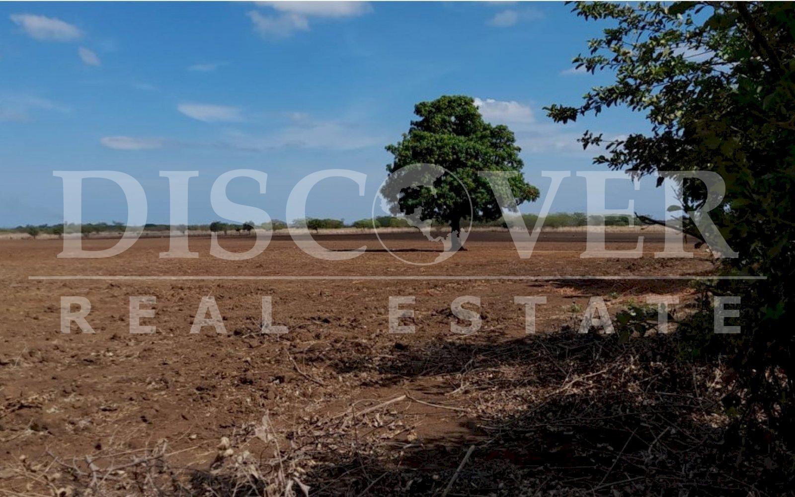 https://images.discovernica.com/propiedad/1600/qwefwfweg.jpg