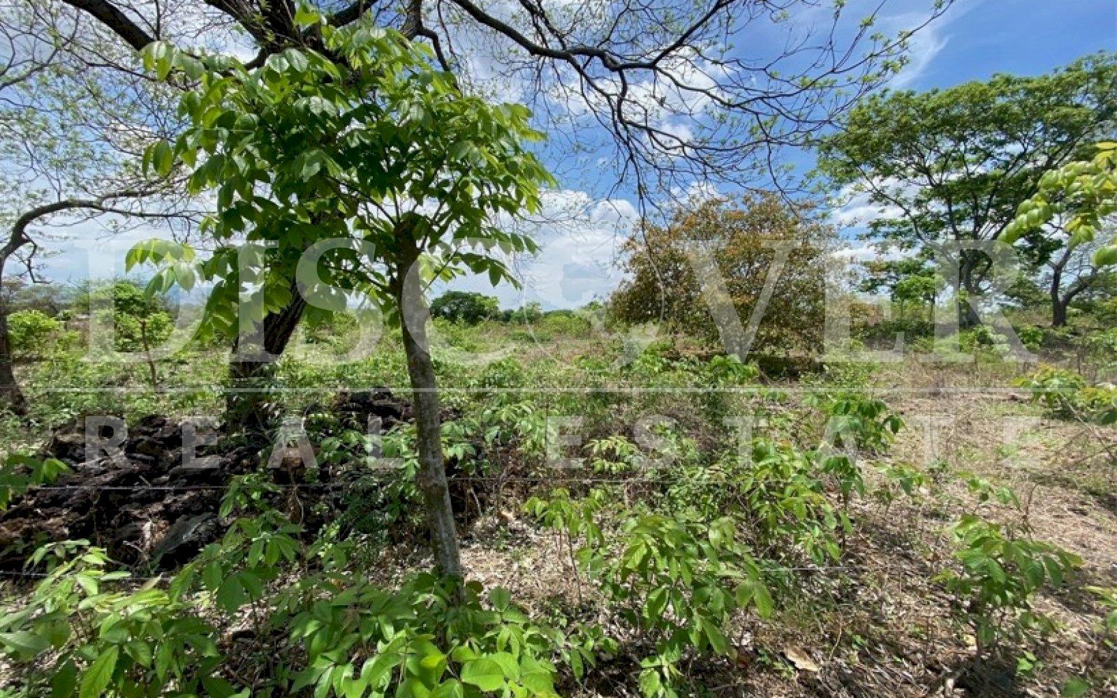 https://images.discovernica.com/propiedad/1600/qwfqwf3f.jpg