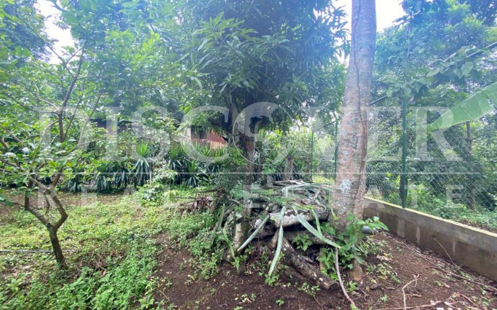  Land for Sale in Jocote Dulce ID 12737