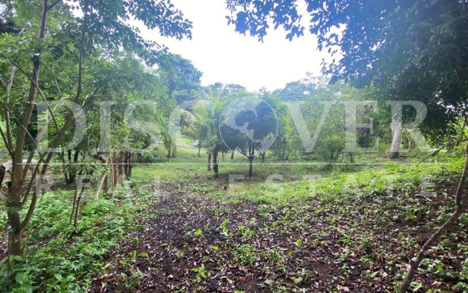 https://images.discovernica.com/propiedad/1600/r56y7tu.JPG