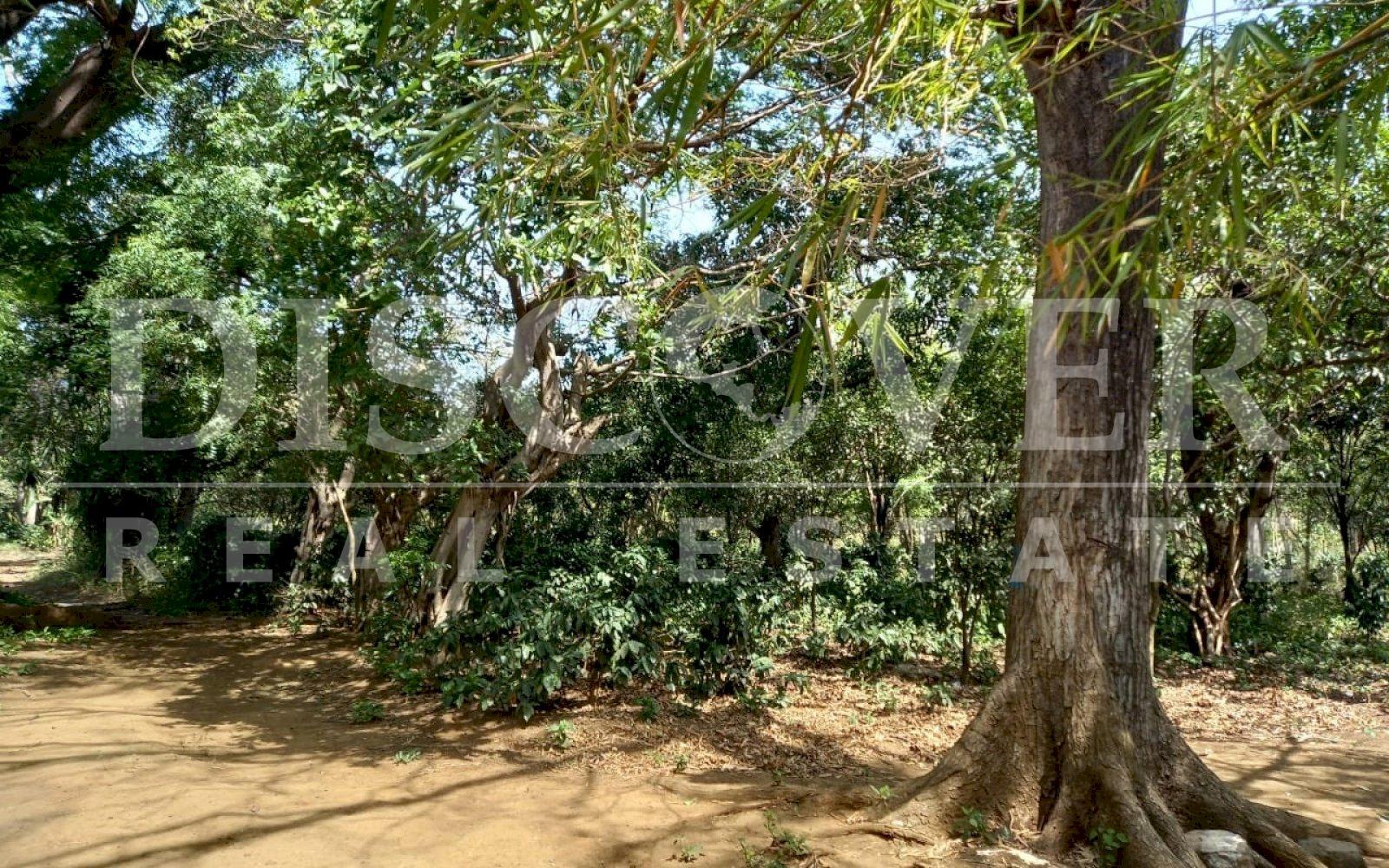 Imagen 6 de la galería