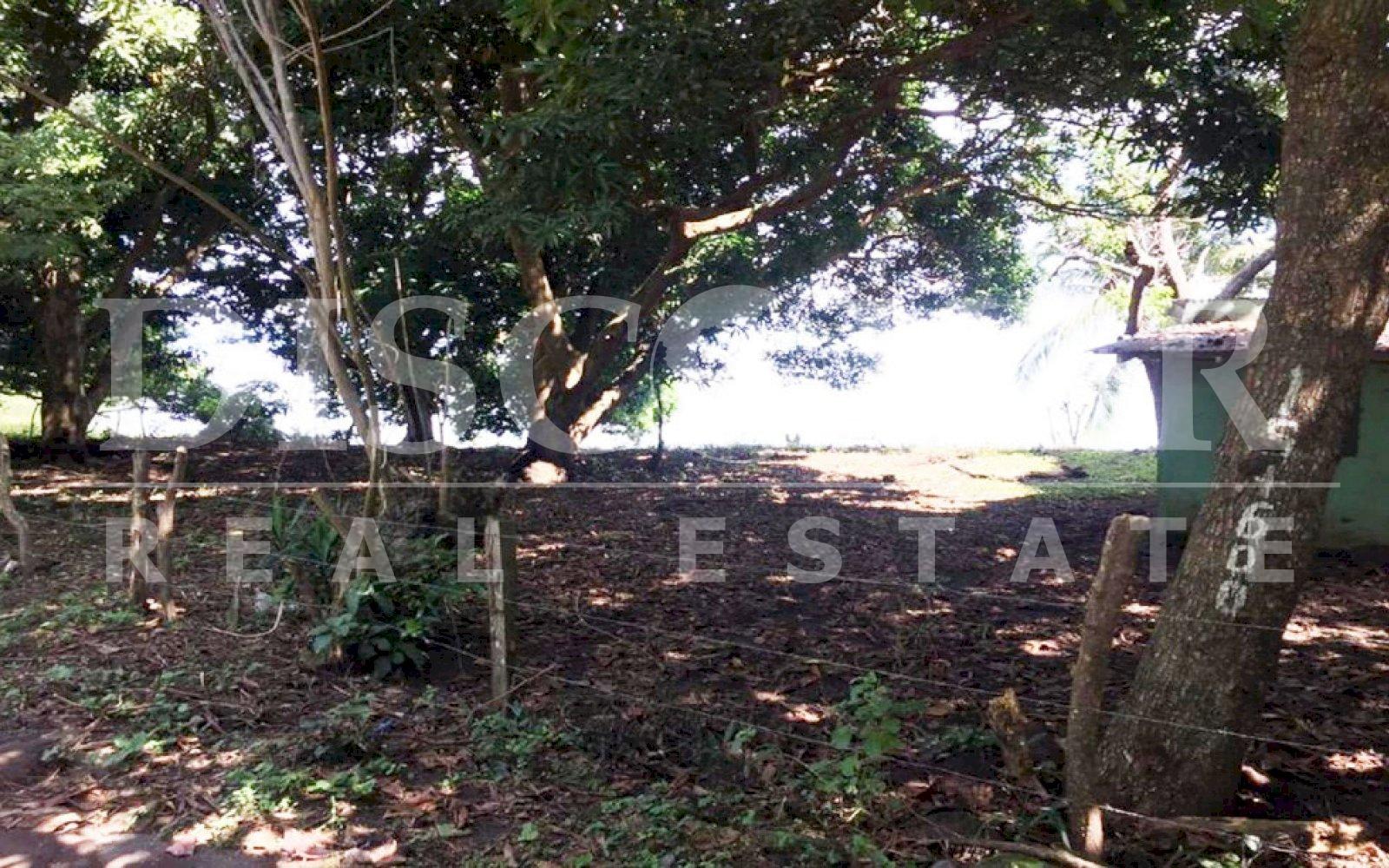 Imagen 2 de la galería
