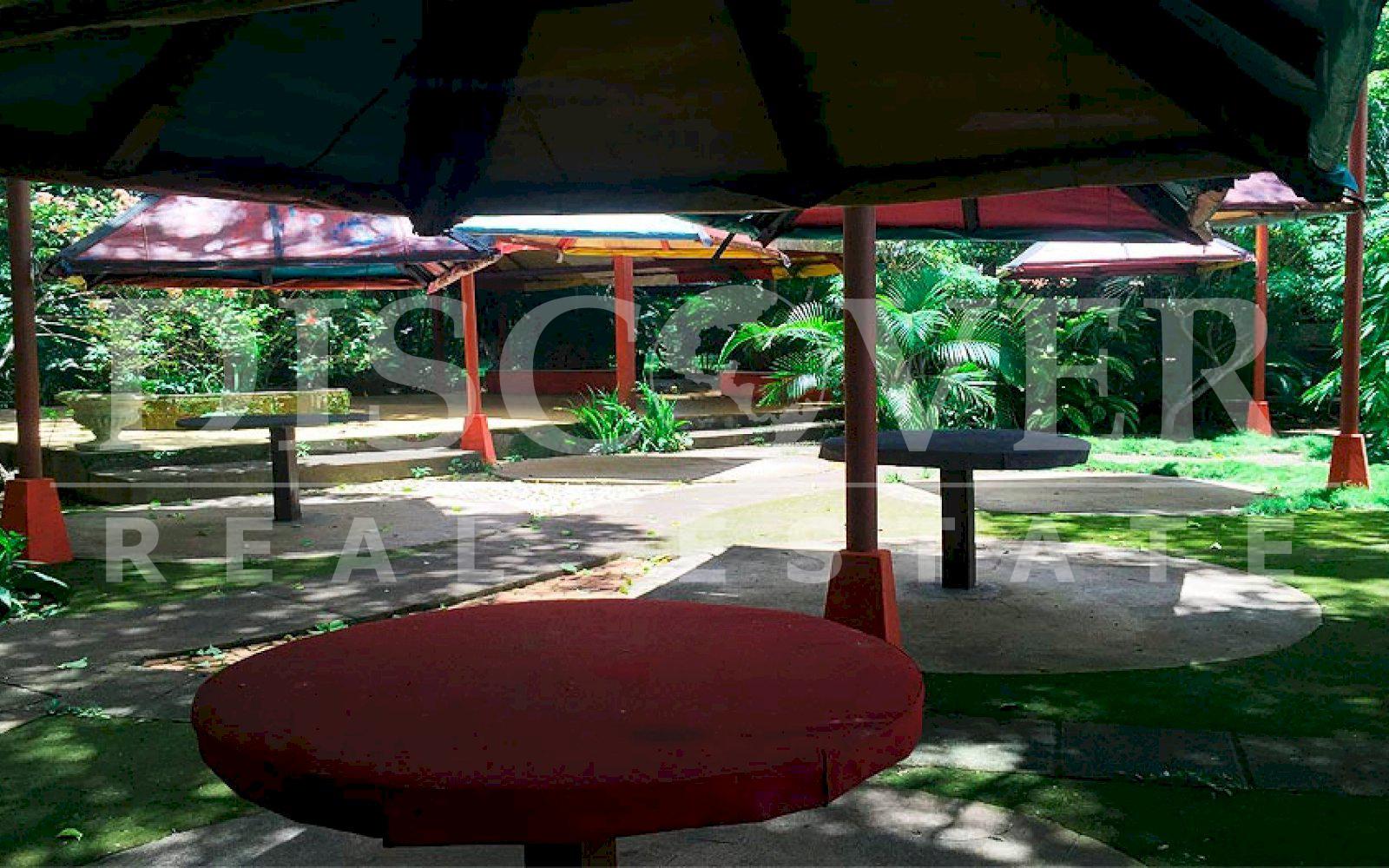 Imagen 15 de la galería