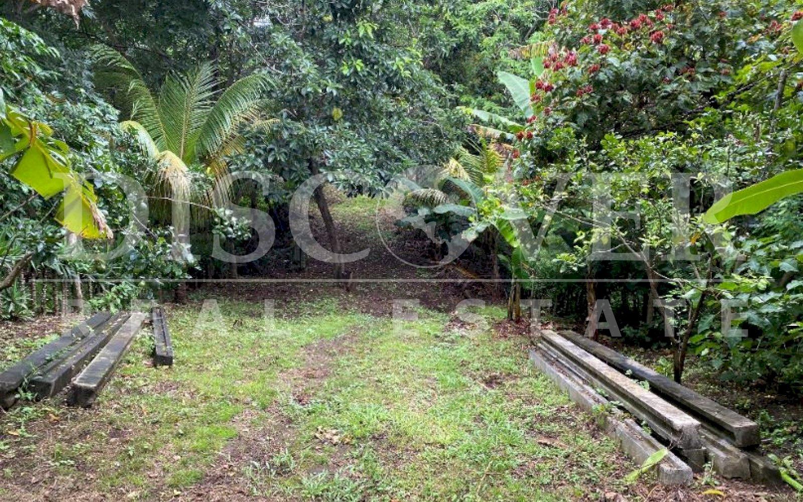  Land for Sale in Jocote Dulce ID 12737