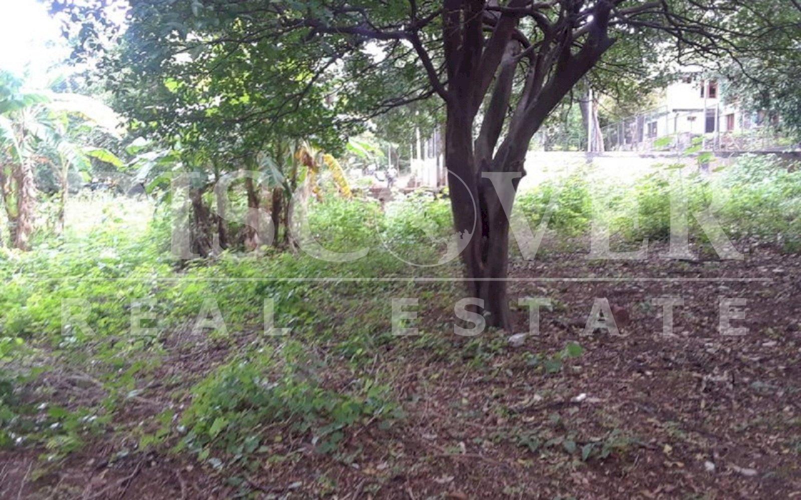https://images.discovernica.com/propiedad/1600/t3.jpg