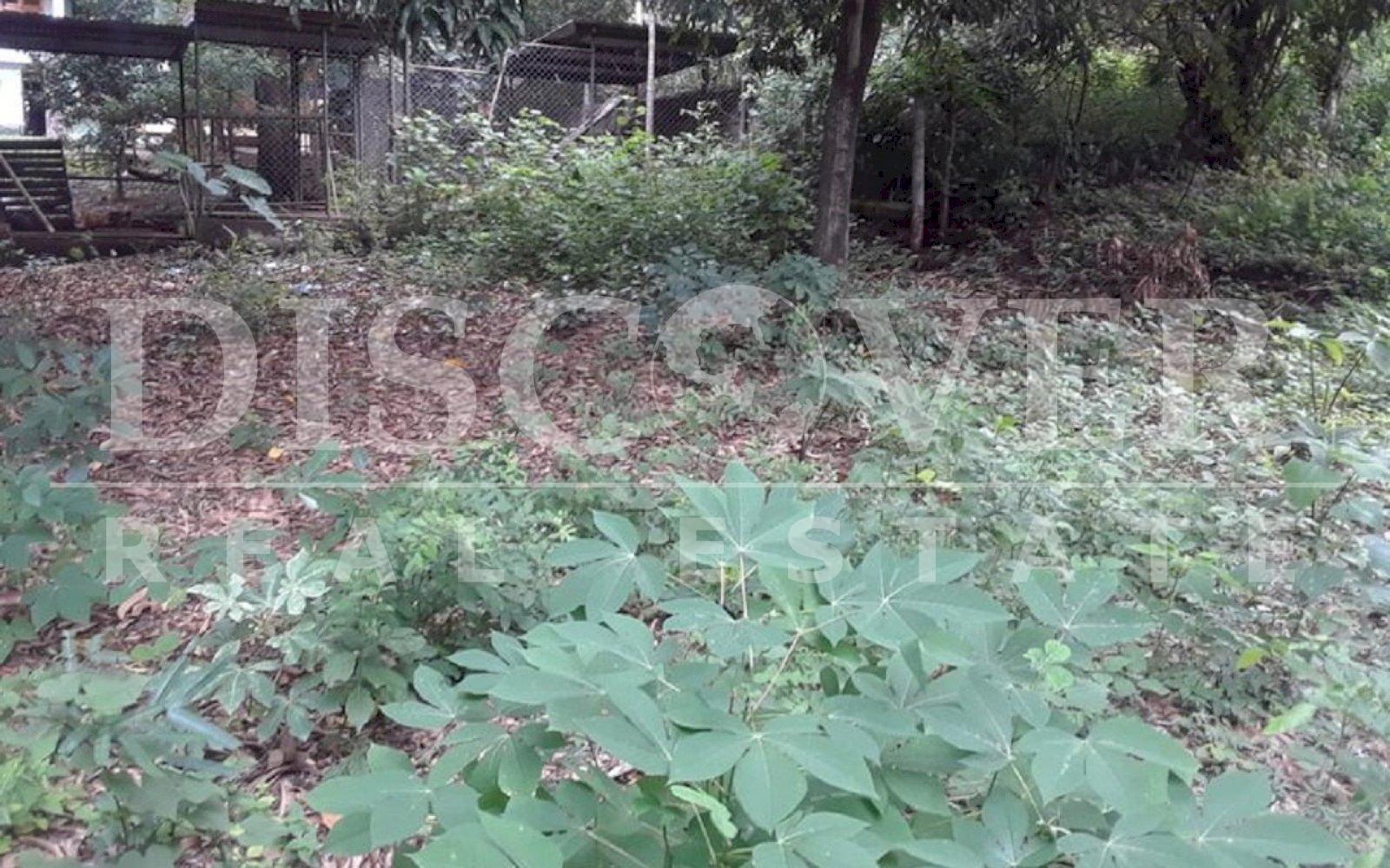 https://images.discovernica.com/propiedad/1600/t4_2_.jpg